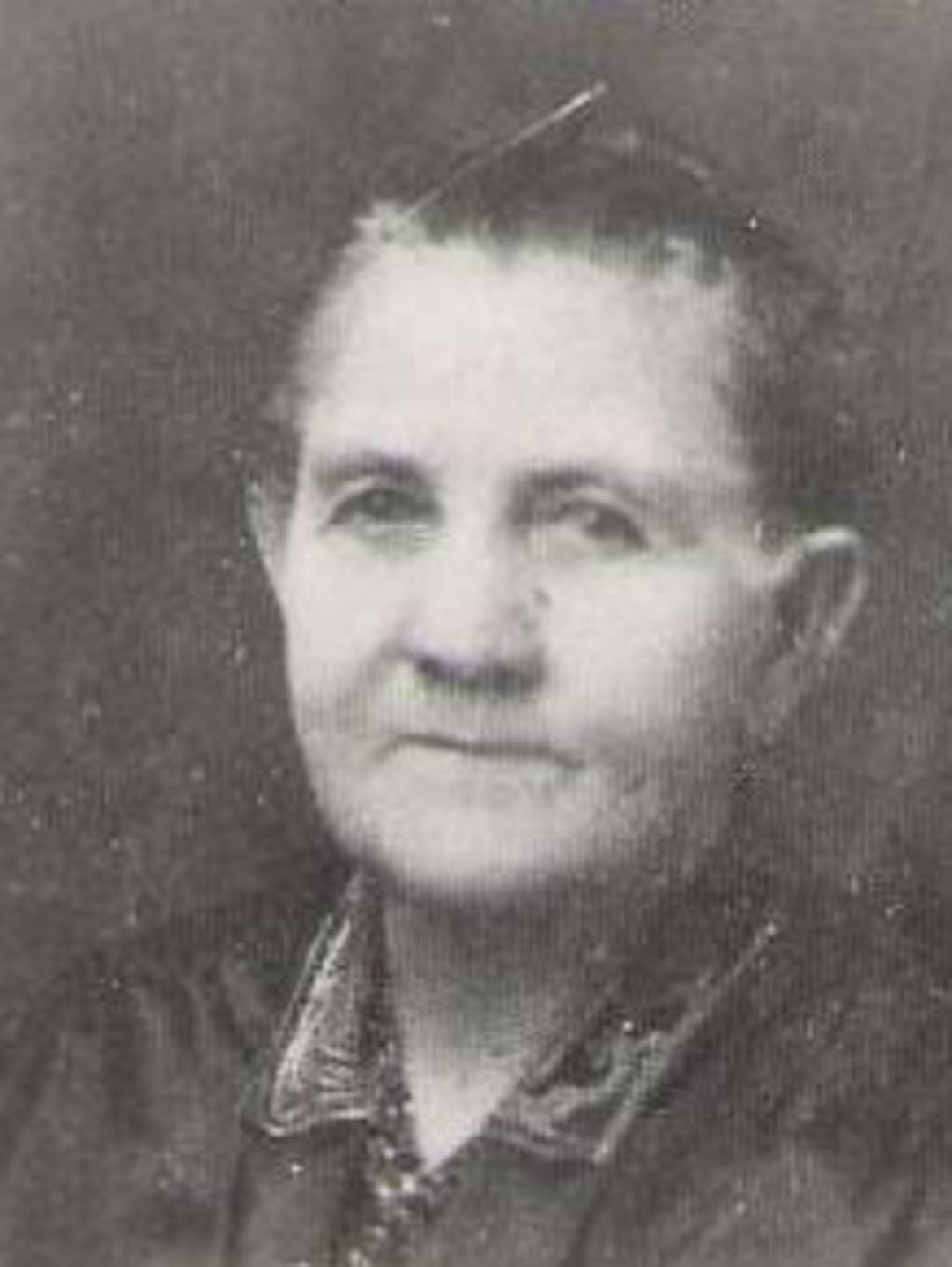 Marintha Altheria Platt (1860 - 1938) Profile